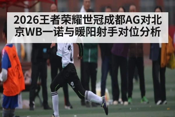 2026王者荣耀世冠成都AG对北京WB一诺与暖阳射手对位分析